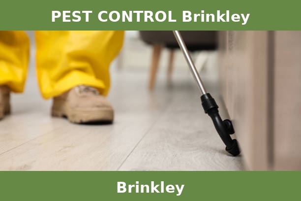PEST CONTROL Brinkley
